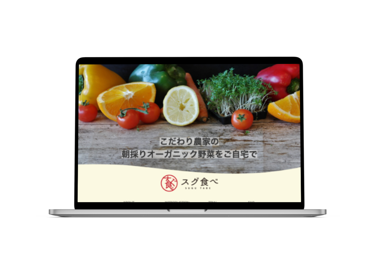 site01_pc